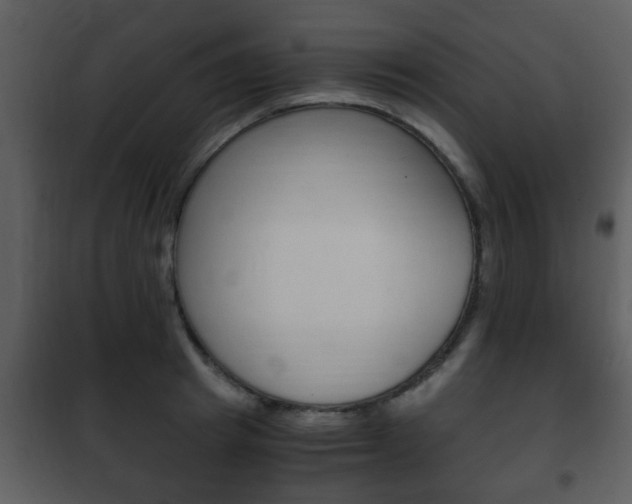 X0000101960849200807180700