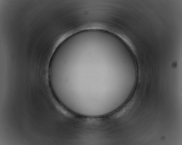 X0000101960850200807180700