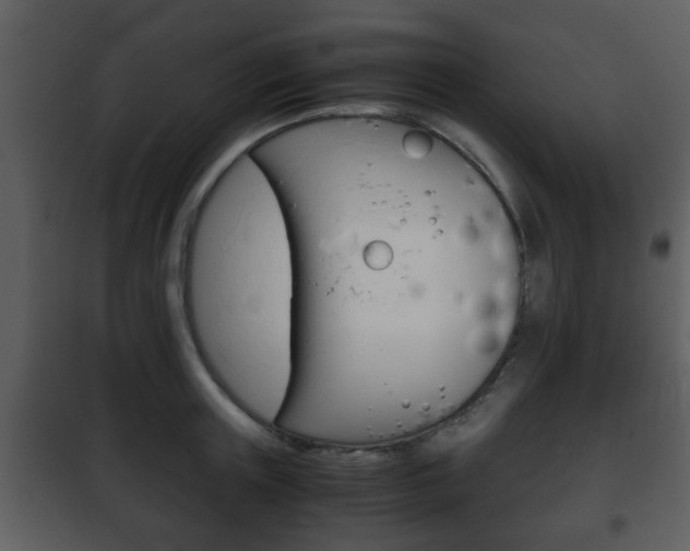 X0000101960851200807180700