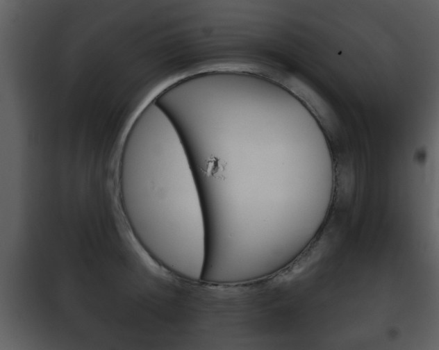 X0000101960852200807180700