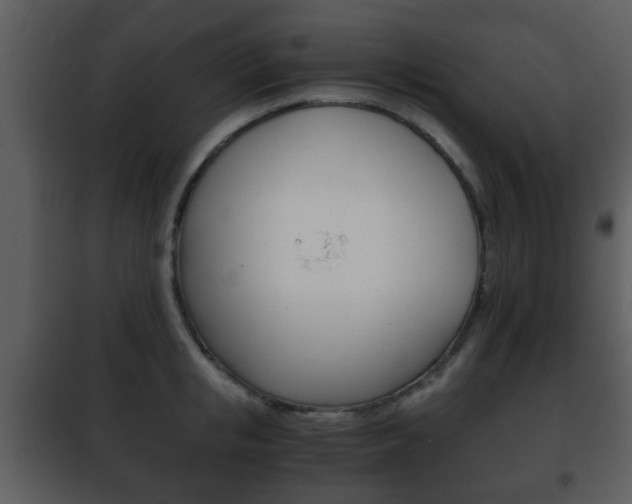 X0000101960853200807180700