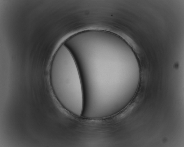 X0000101960854200807180700