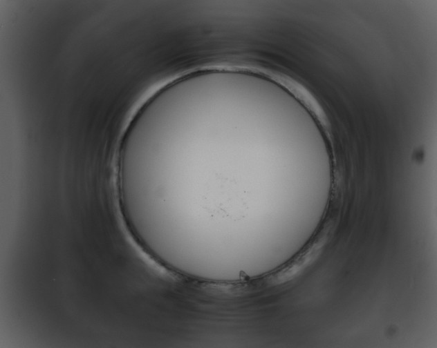 X0000101960855200807180700
