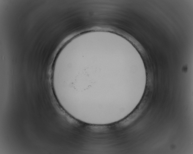 X0000101960856200807180700