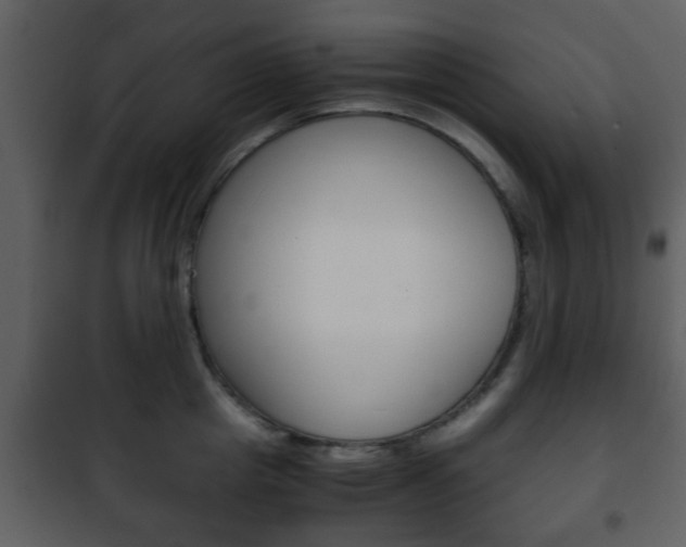 X0000101960857200807180700