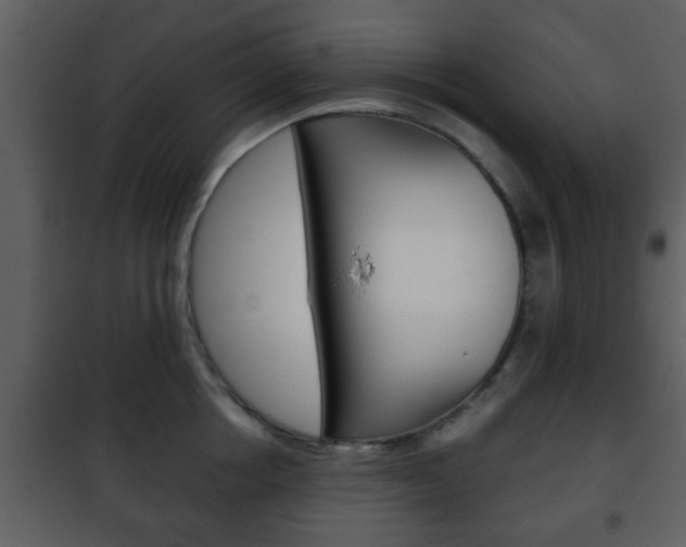 X0000101960858200807180701