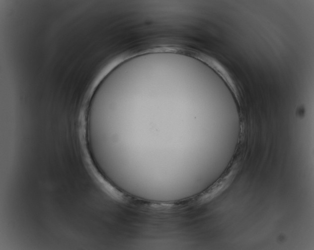 X0000101960859200807180701