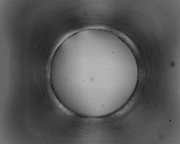 X0000101960860200807180701