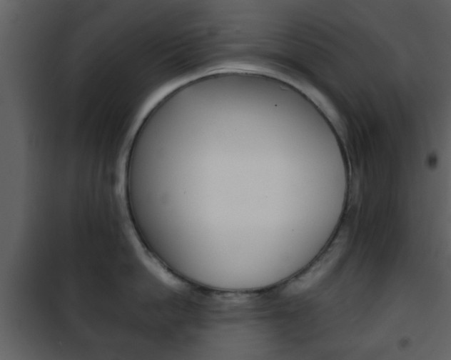 X0000101960862200807180701