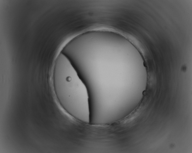 X0000101960863200807180701