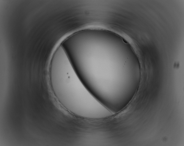 X0000101960864200807180701