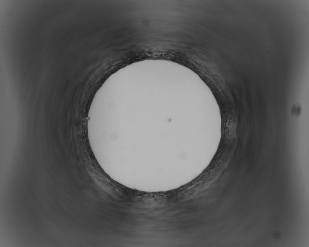X0000101960865200807180700