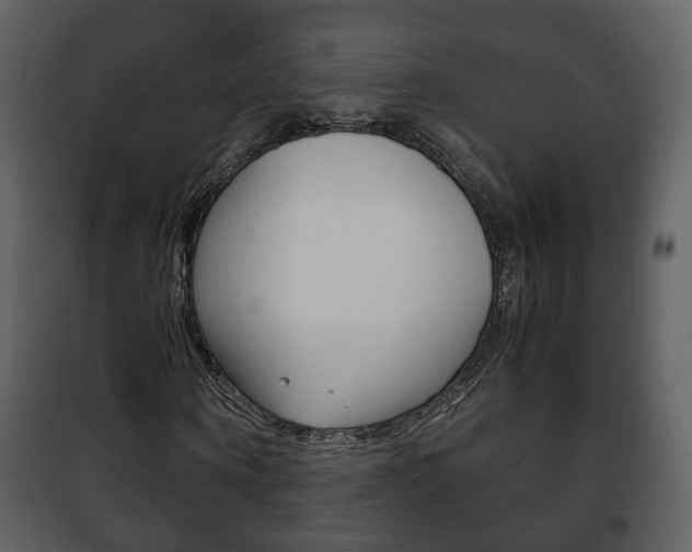 X0000101960866200807180700