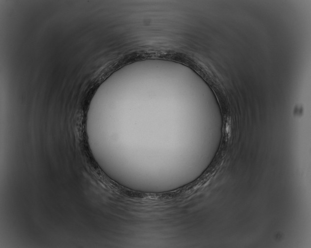 X0000101960867200807180700