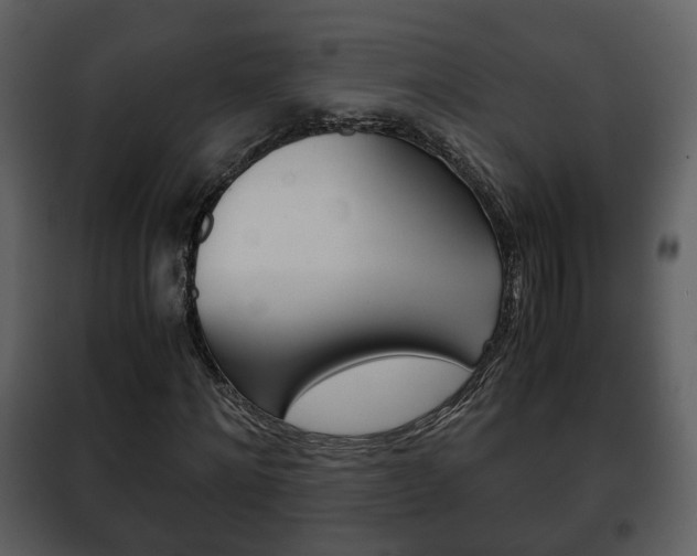 X0000101960868200807180700