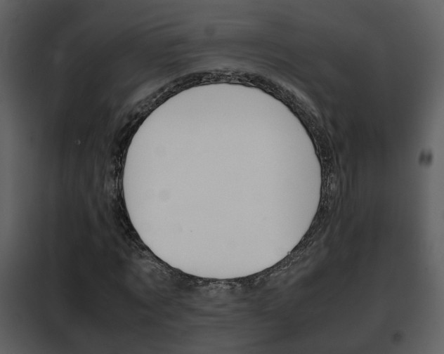 X0000101960869200807180700