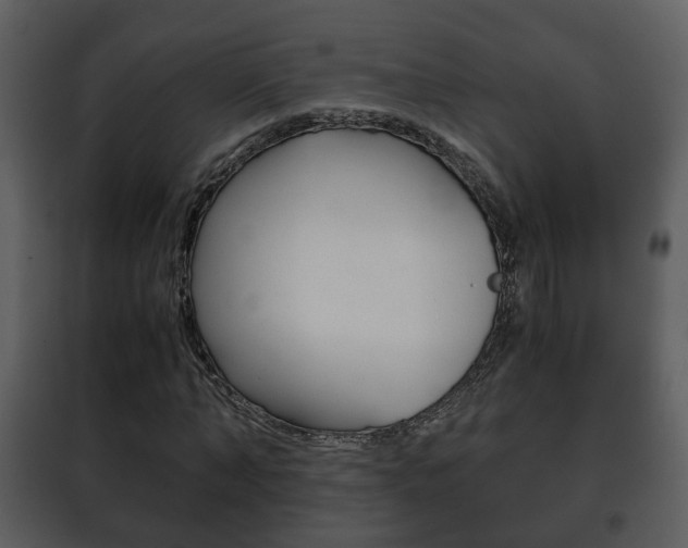 X0000101960870200807180700