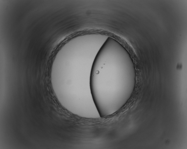 X0000101960871200807180700
