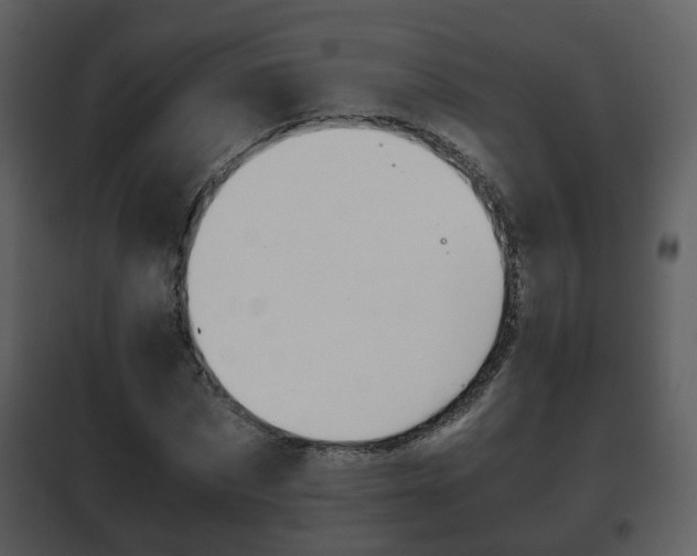 X0000101960873200807180700