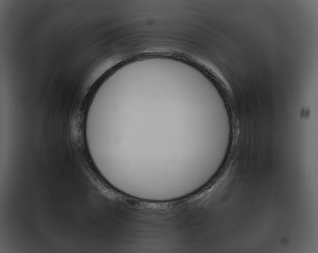 X0000101960874200807180700