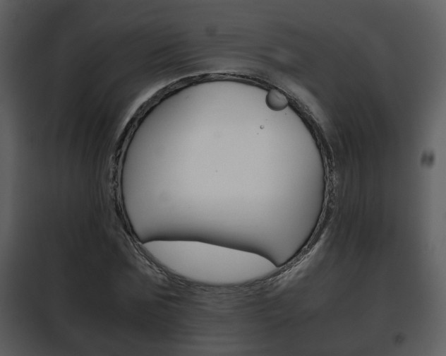 X0000101960875200807180700