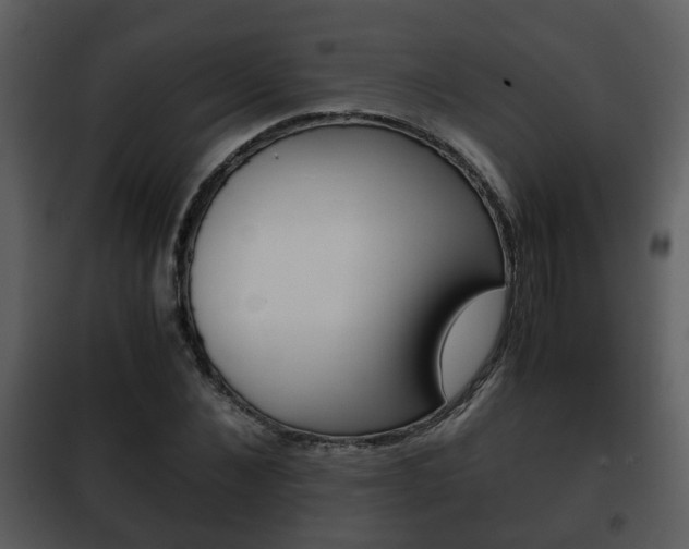 X0000101960876200807180700