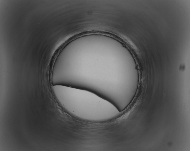 X0000101960877200807180700