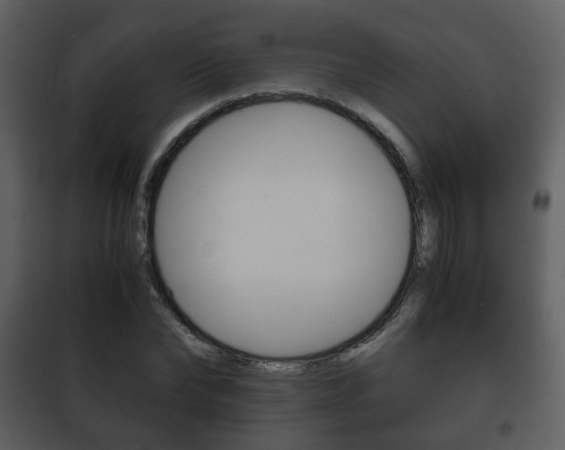 X0000101960878200807180700