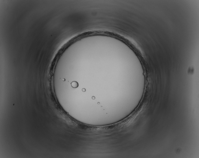 X0000101960879200807180700
