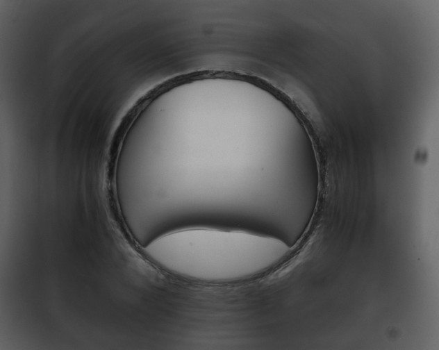 X0000101960880200807180700