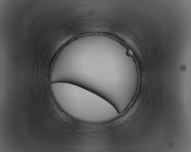 X0000101960881200807180700
