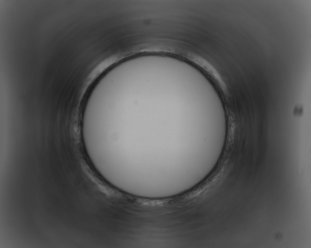 X0000101960882200807180700
