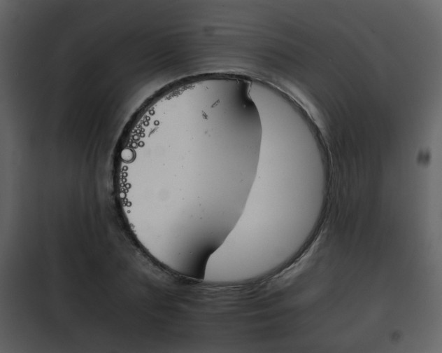 X0000101960883200807180700