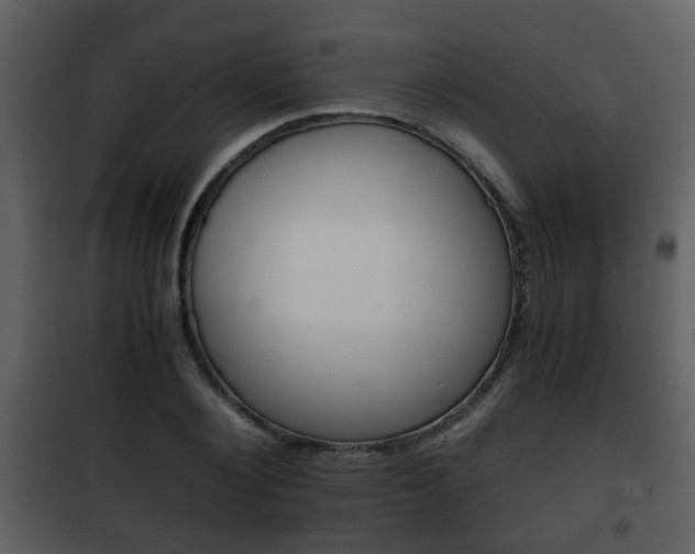X0000101960884200807180700