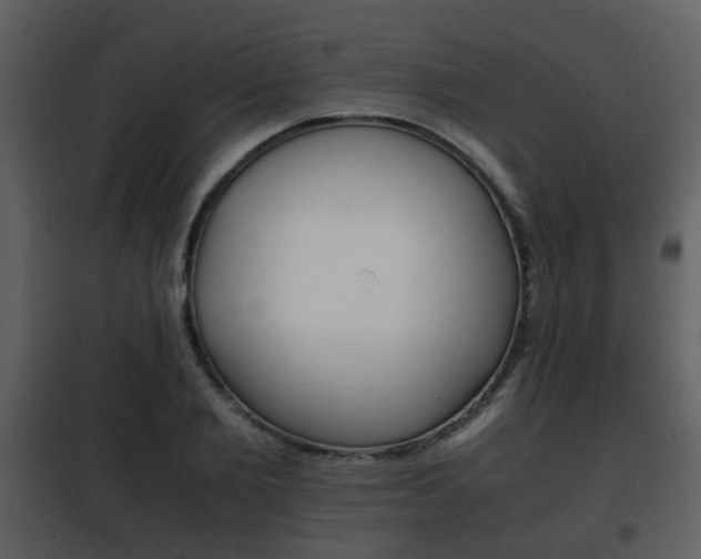 X0000101960885200807180659