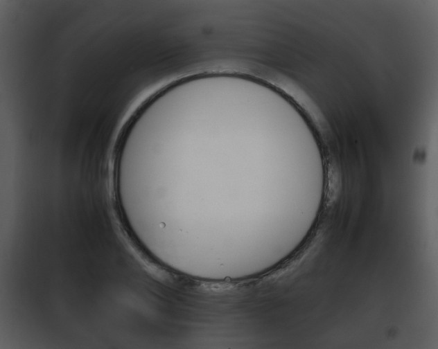 X0000101960886200807180659