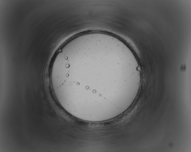 X0000101960887200807180659