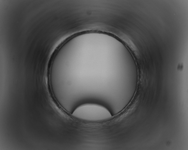 X0000101960888200807180659