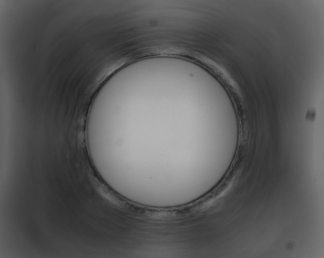 X0000101960889200807180659