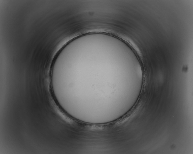 X0000101960890200807180659