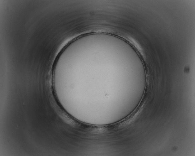 X0000101960891200807180659