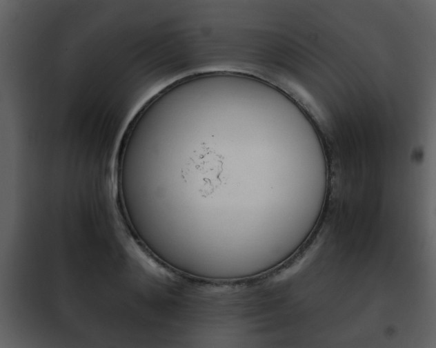 X0000101960892200807180659