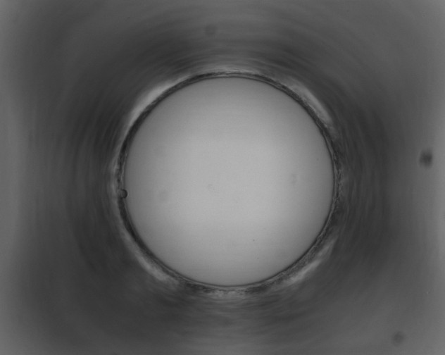 X0000101960893200807180659