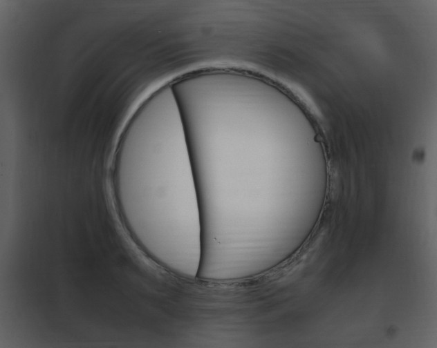 X0000101960895200807180659