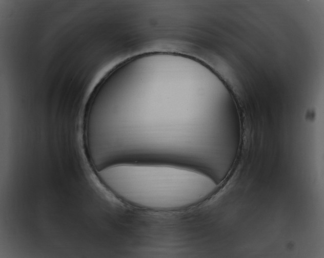 X0000101960896200807180659