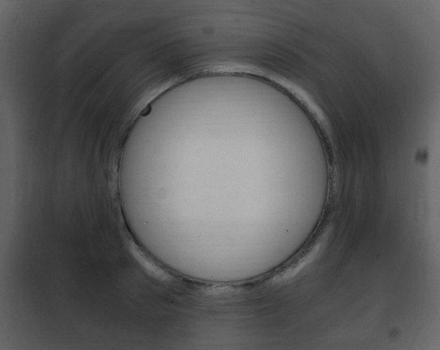 X0000101960897200807180659