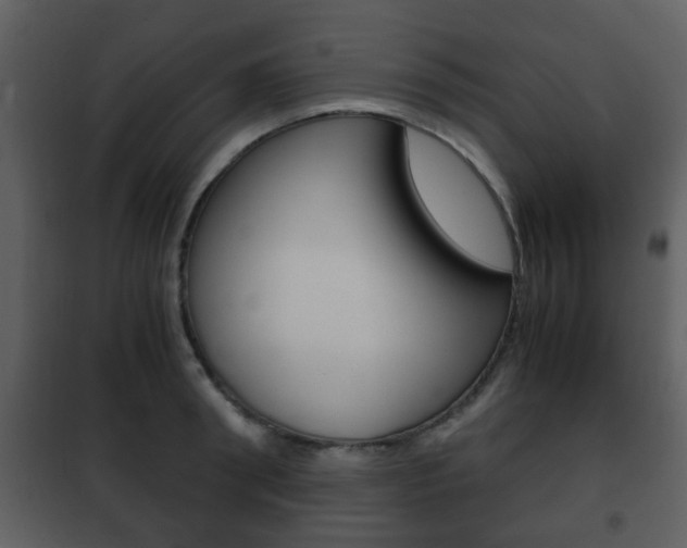 X0000101960898200807180659