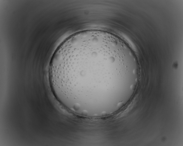 X0000101960899200807180659