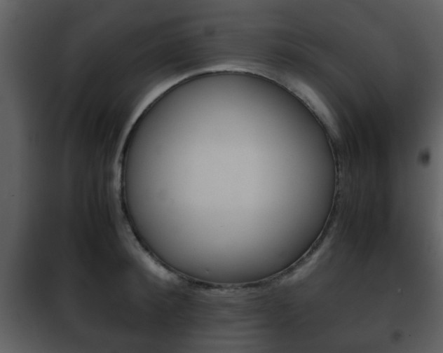 X0000101960900200807180659