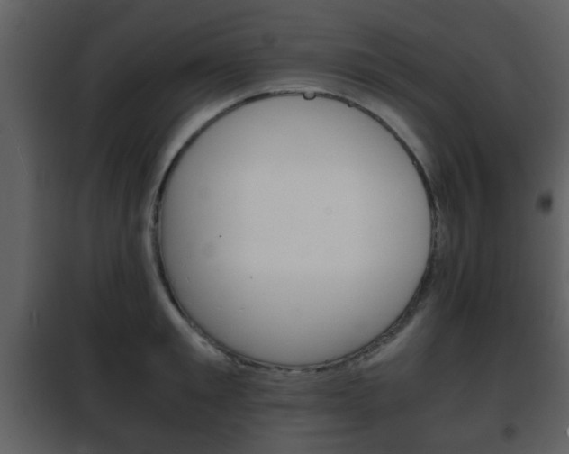 X0000101960901200807180659